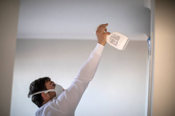 Best Mold Removal Near Me  in Koontz Lake, IN