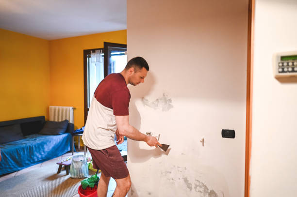 Best Commercial Mold Removal  in Koontz Lake, IN
